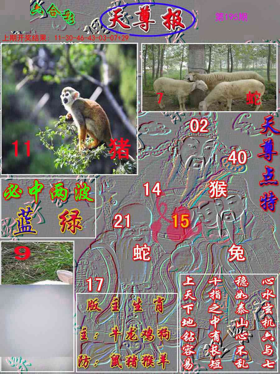 195期天尊报[图]