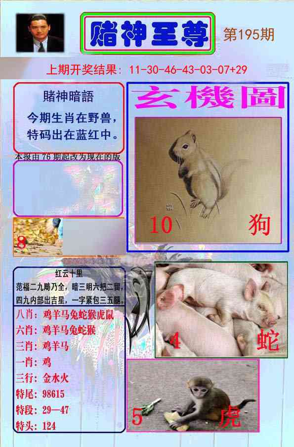 195期赌神至尊[图]