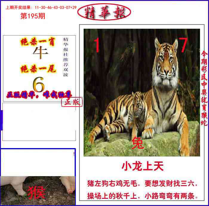 195期新精华报报[图]