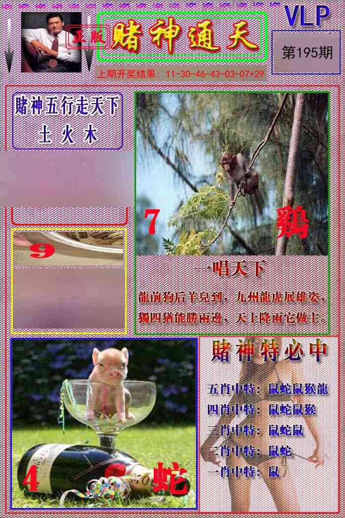 195期赌神通天报[图]