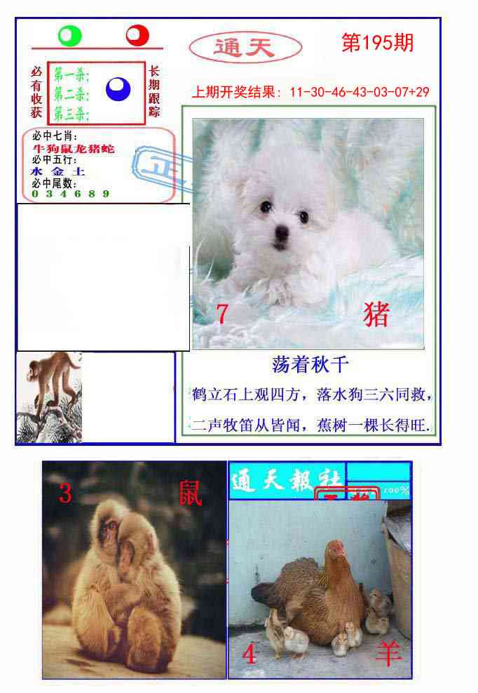 195期通天杀波图2[图]