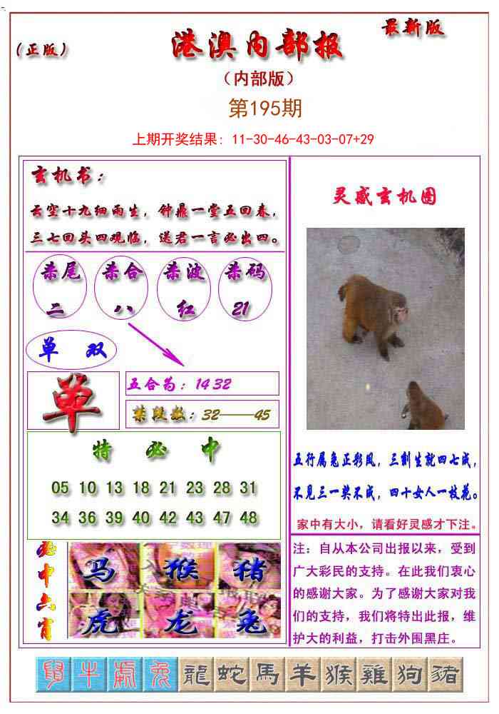 195期港澳报[图]