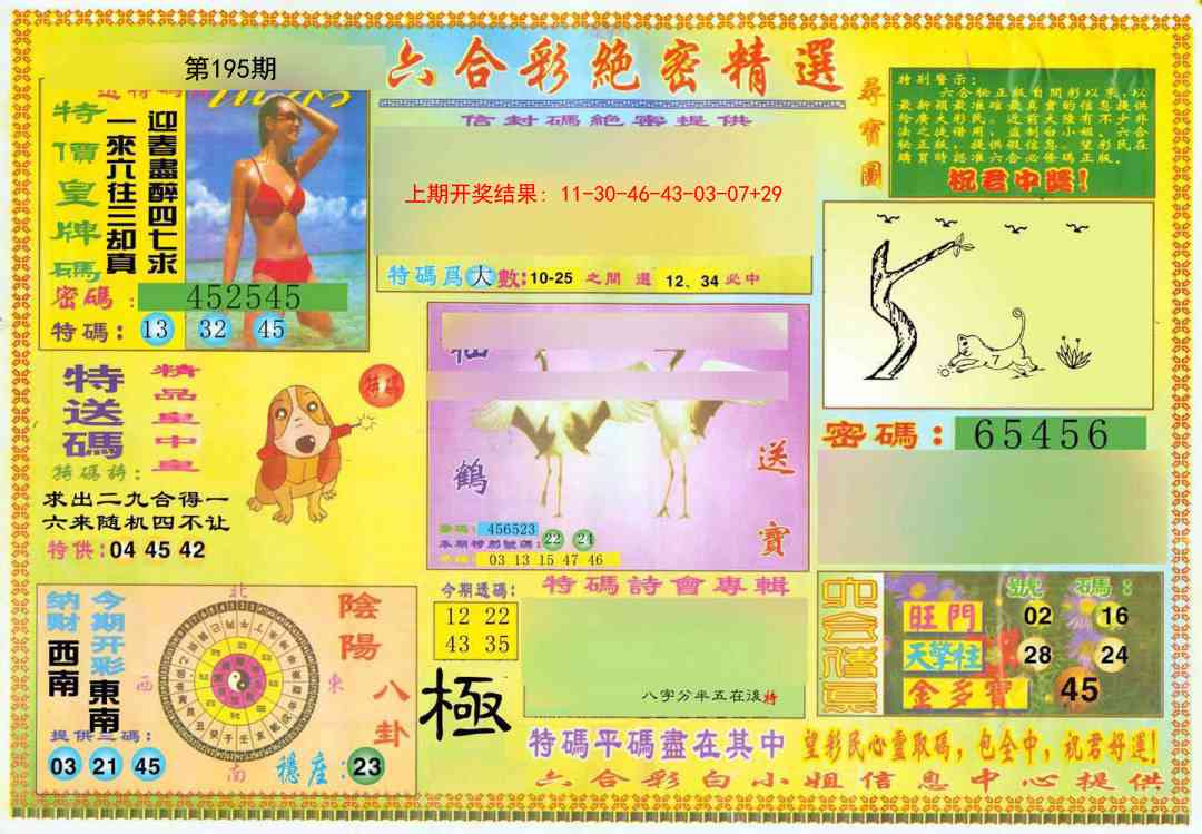 195期绝密精选A[图]