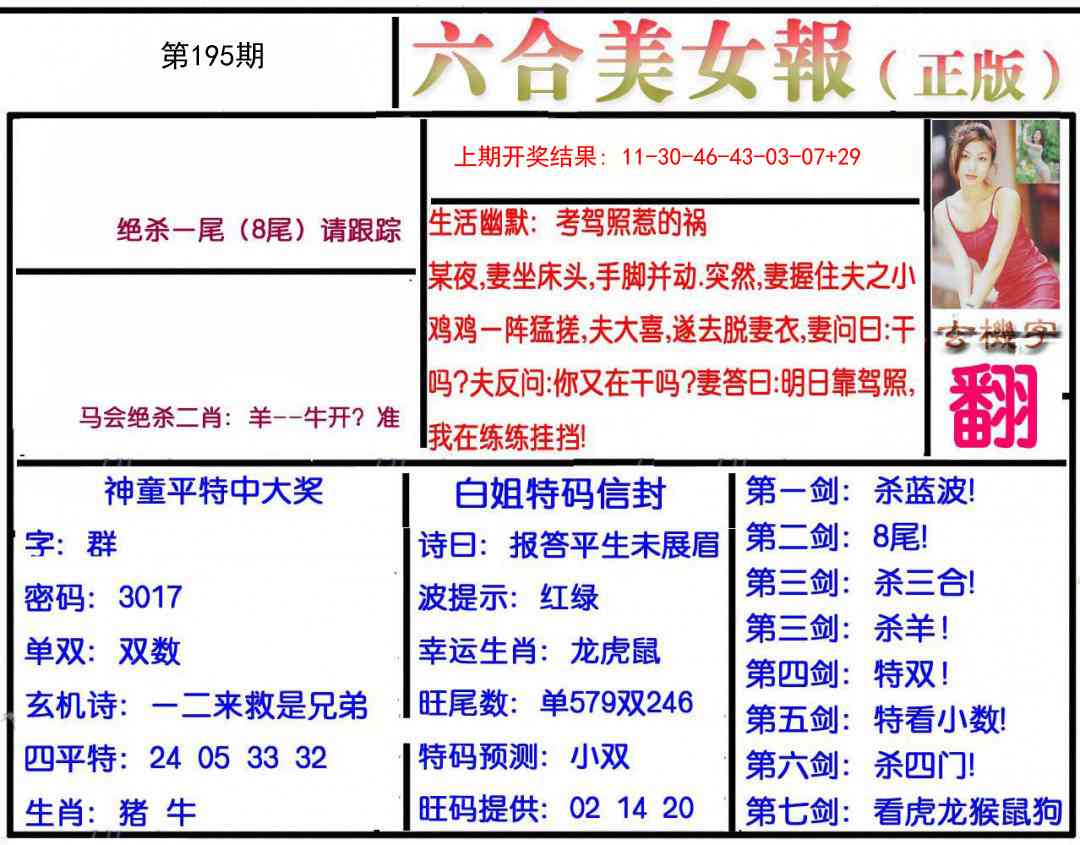 195期美女报[图]