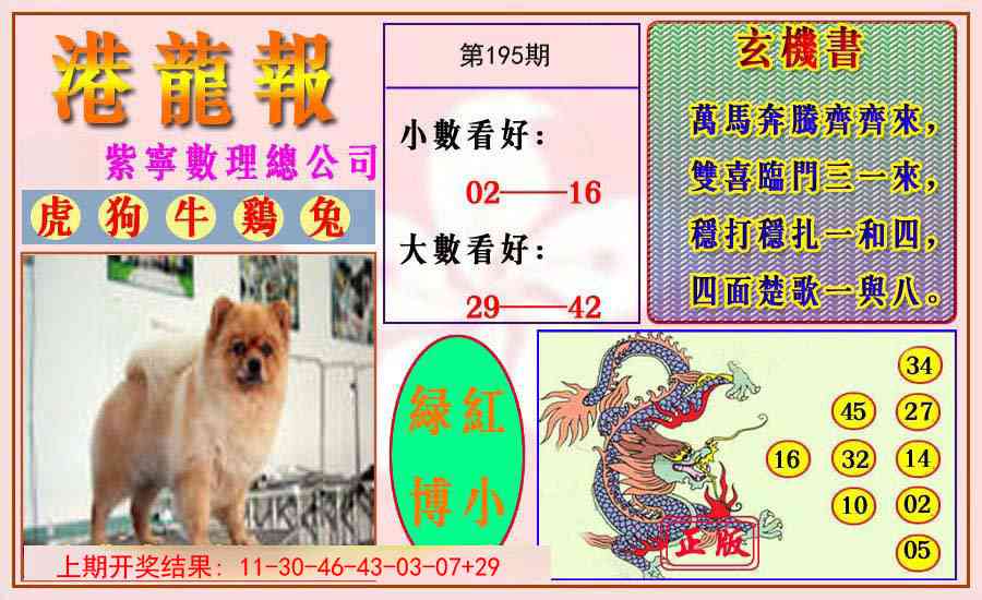 195期港龙报[图]