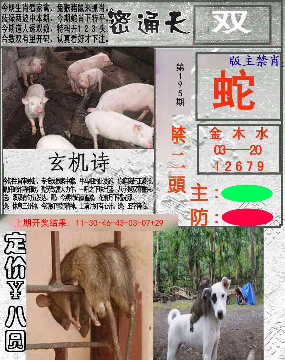 195期密通天[图]