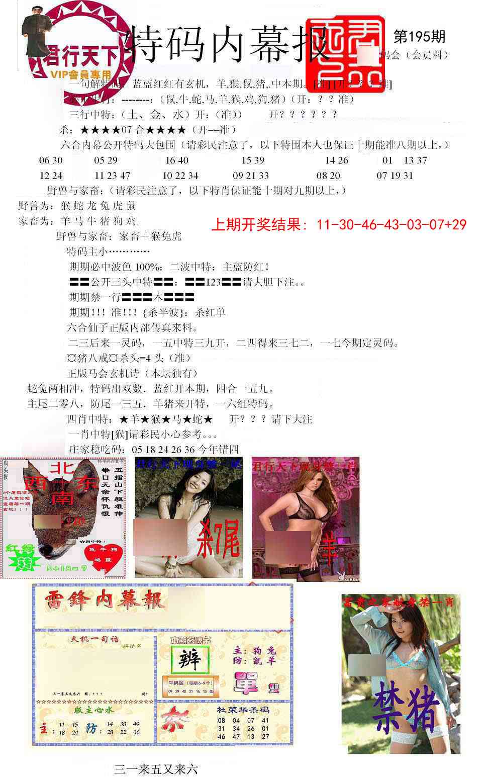 195期特码内幕报[图]