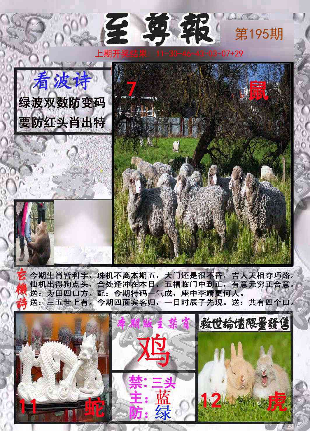 195期至尊报[图]