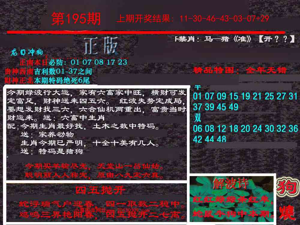 195期新港内幕[图]