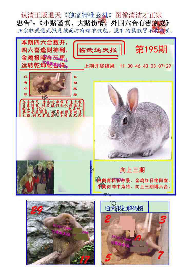 195期临武通天报[图]