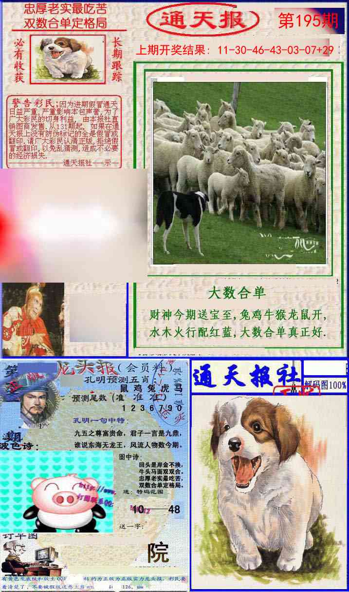 195期实力通天报[图]