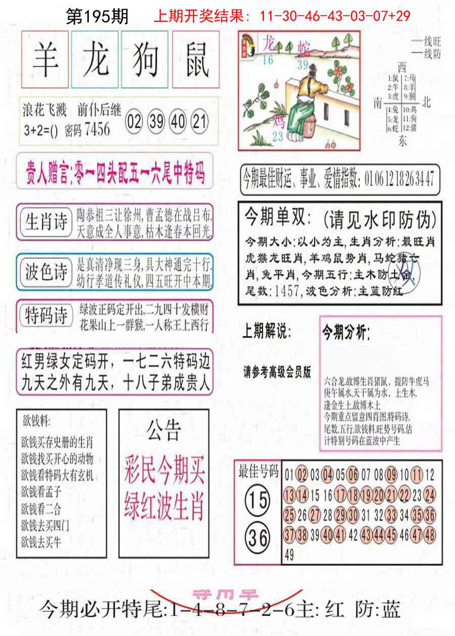 195期凤凰闲情A[图]