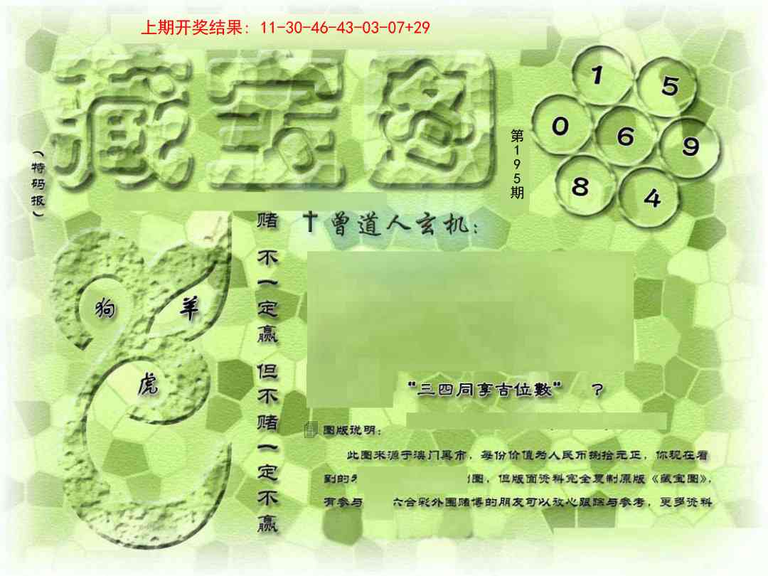 195期假新藏宝图[图]
