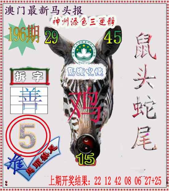 196期马头报[图]