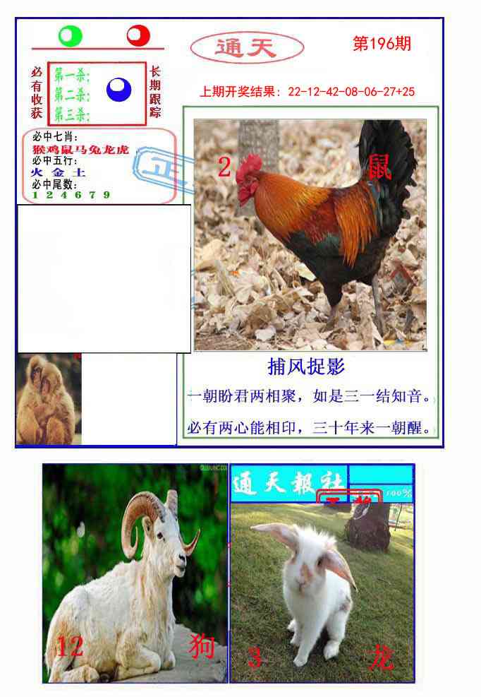 196期通天杀波图2[图]