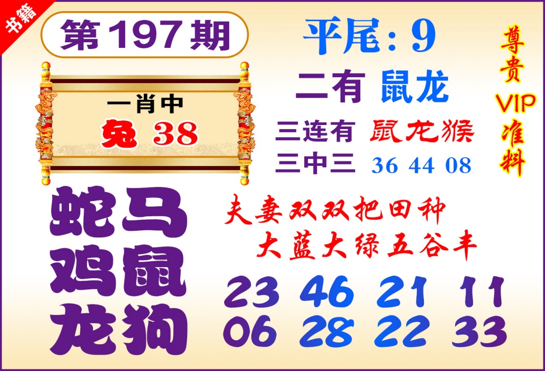 197期澳门九龙天书[图]