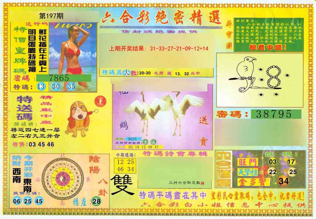 197期绝密精选A[图]