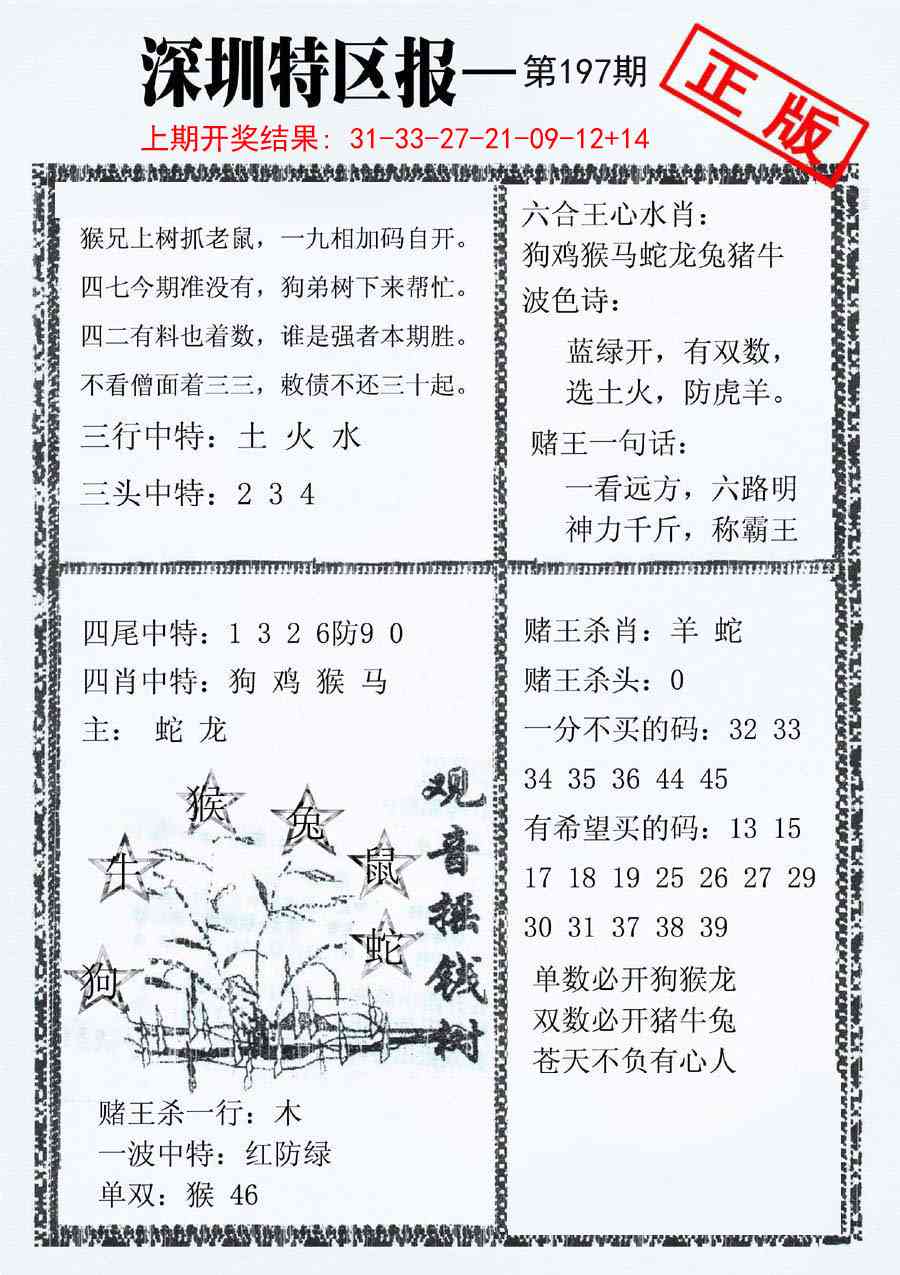 197期深圳特区报A[图]