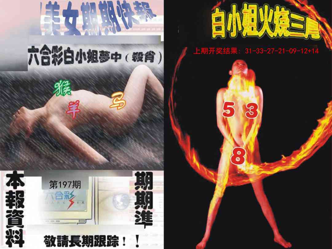 197期环球美女特码报[图]