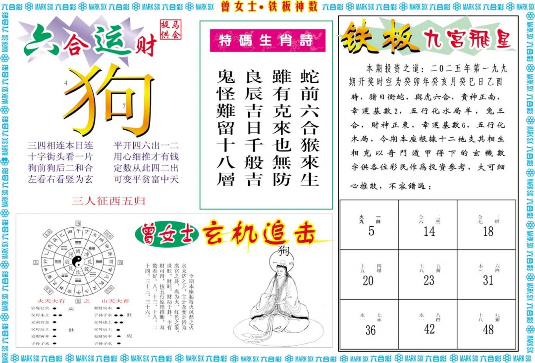 199期曾女士铁板神数B[图]