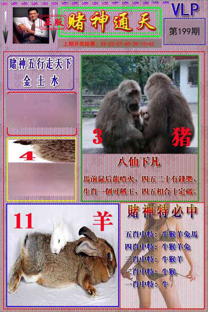 199期赌神通天报[图]
