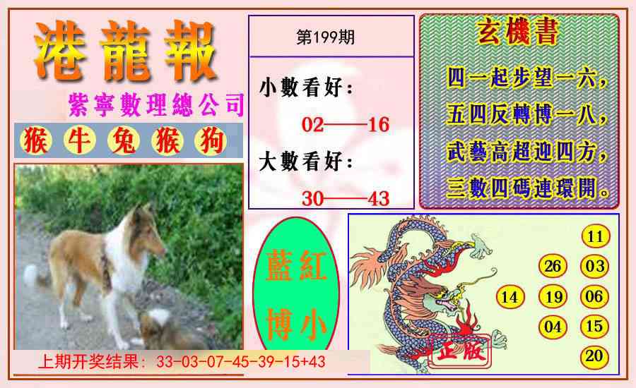 199期港龙报[图]