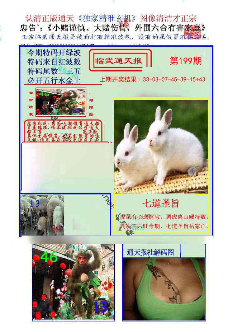 199期临武通天报[图]