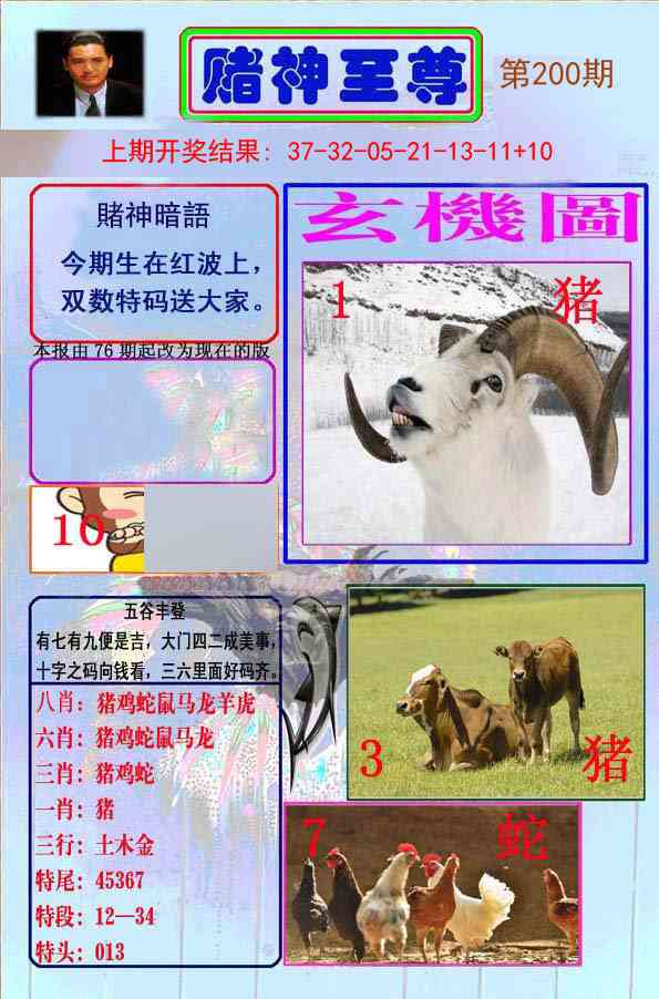 200期赌神至尊[图]