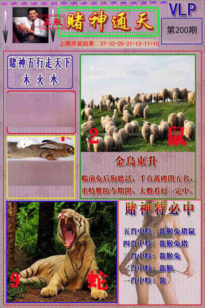 200期赌神通天报[图]