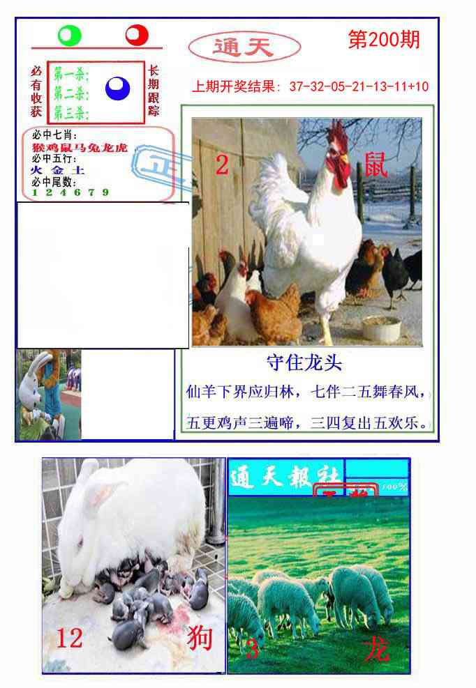 200期通天杀波图2[图]