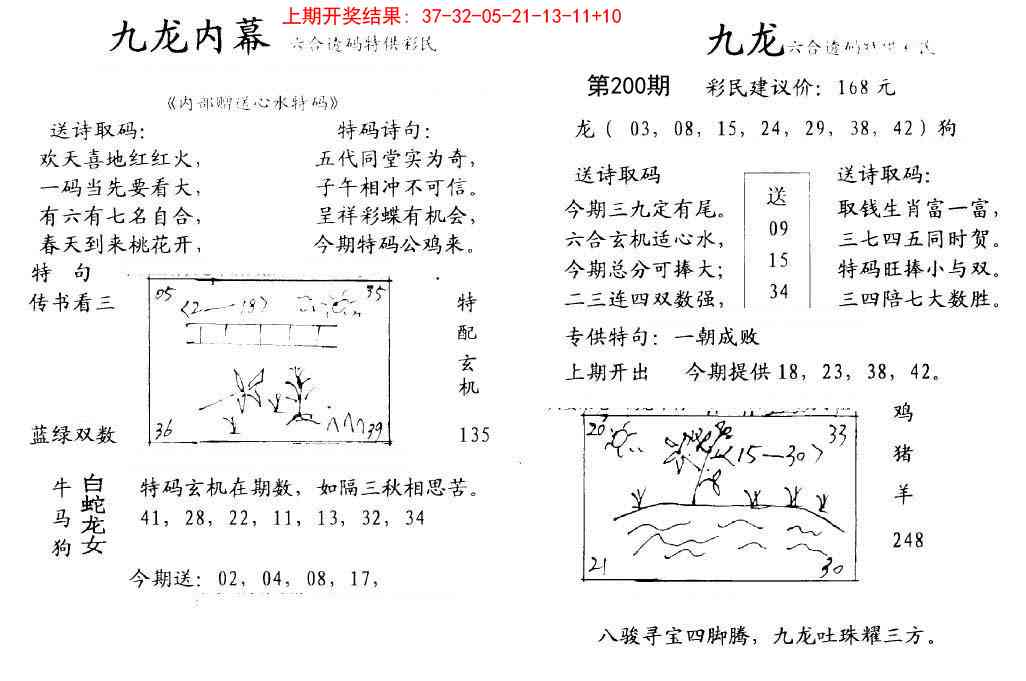 200期九龙内幕[图]