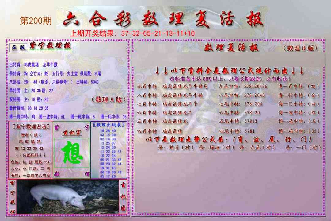 200期数理复活报[图]