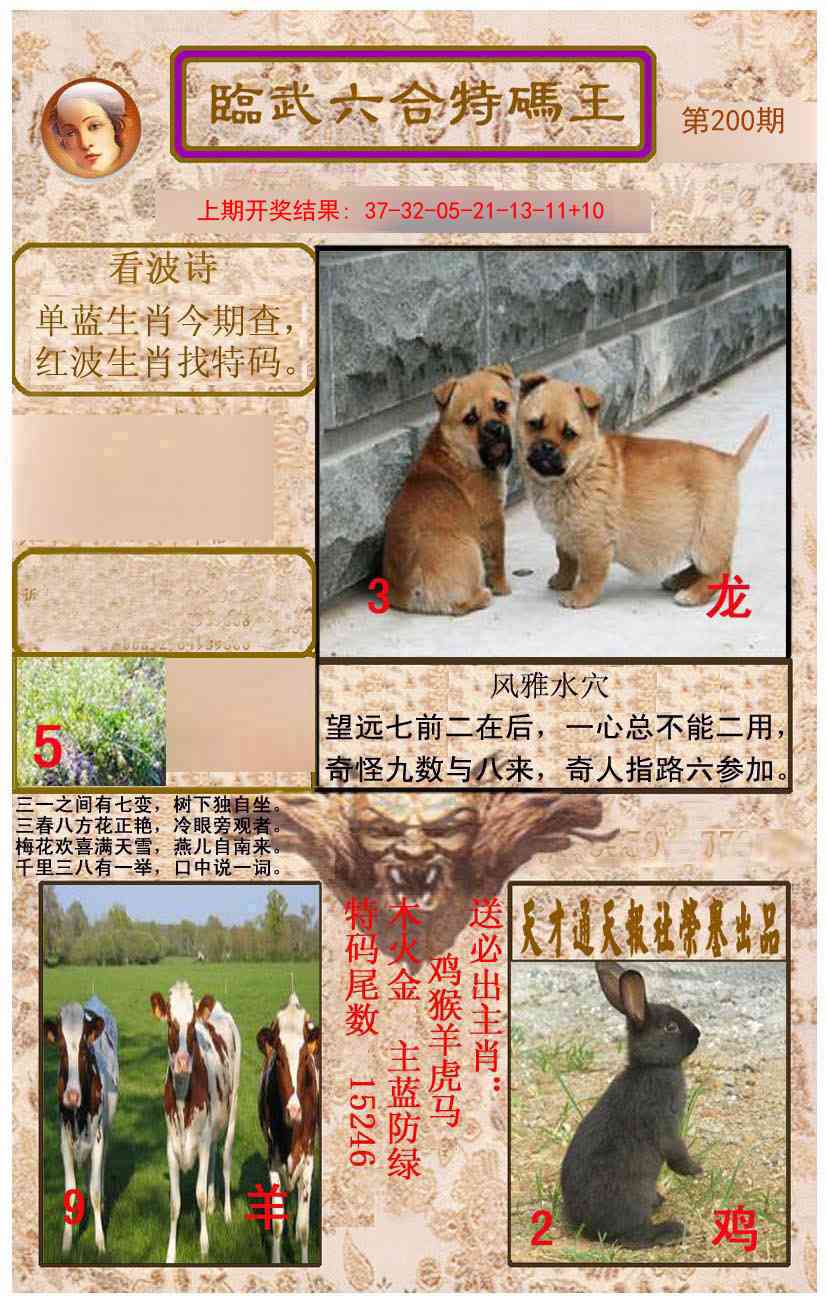 200期临武六合特码王[图]