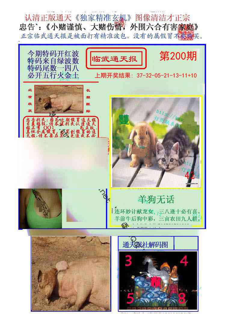 200期临武通天报[图]