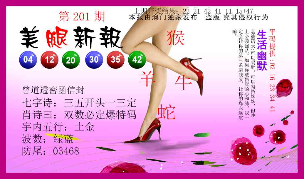 201期美腿新报[图]