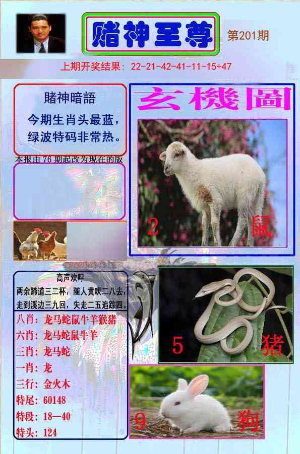201期赌神至尊[图]
