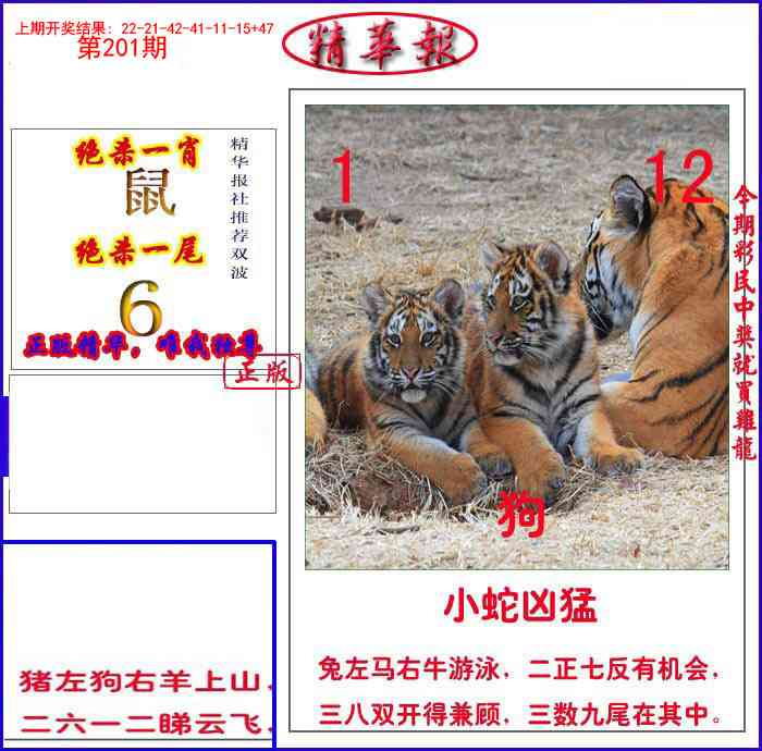 201期新精华报报[图]