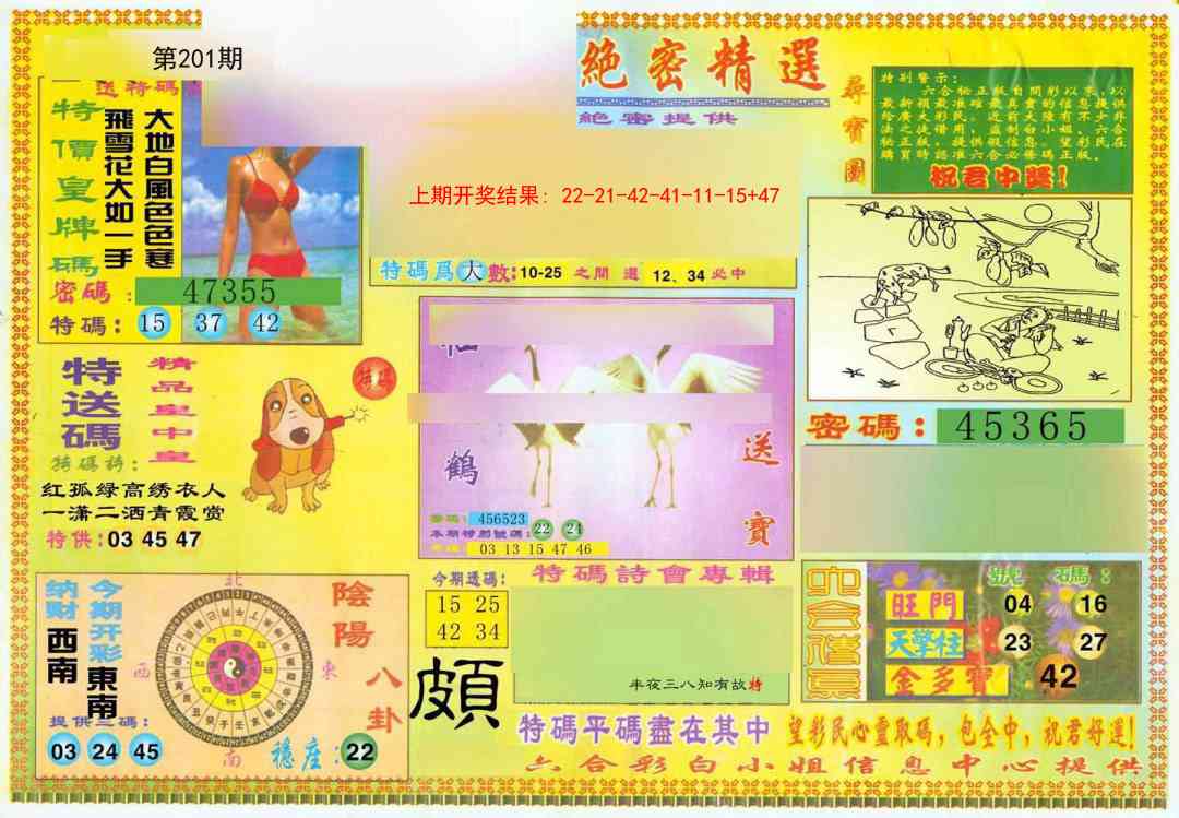 201期绝密精选A[图]