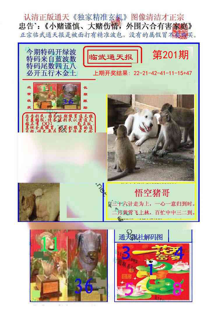 201期临武通天报[图]