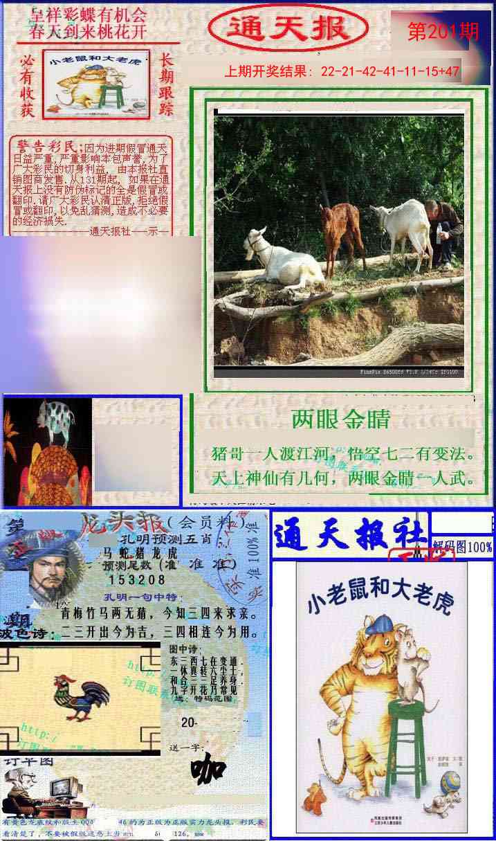 201期实力通天报[图]