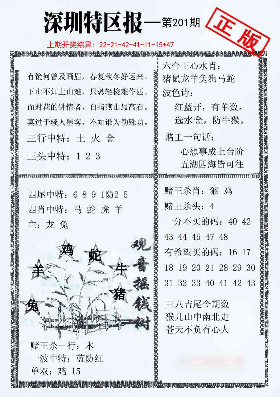 201期深圳特区报A[图]