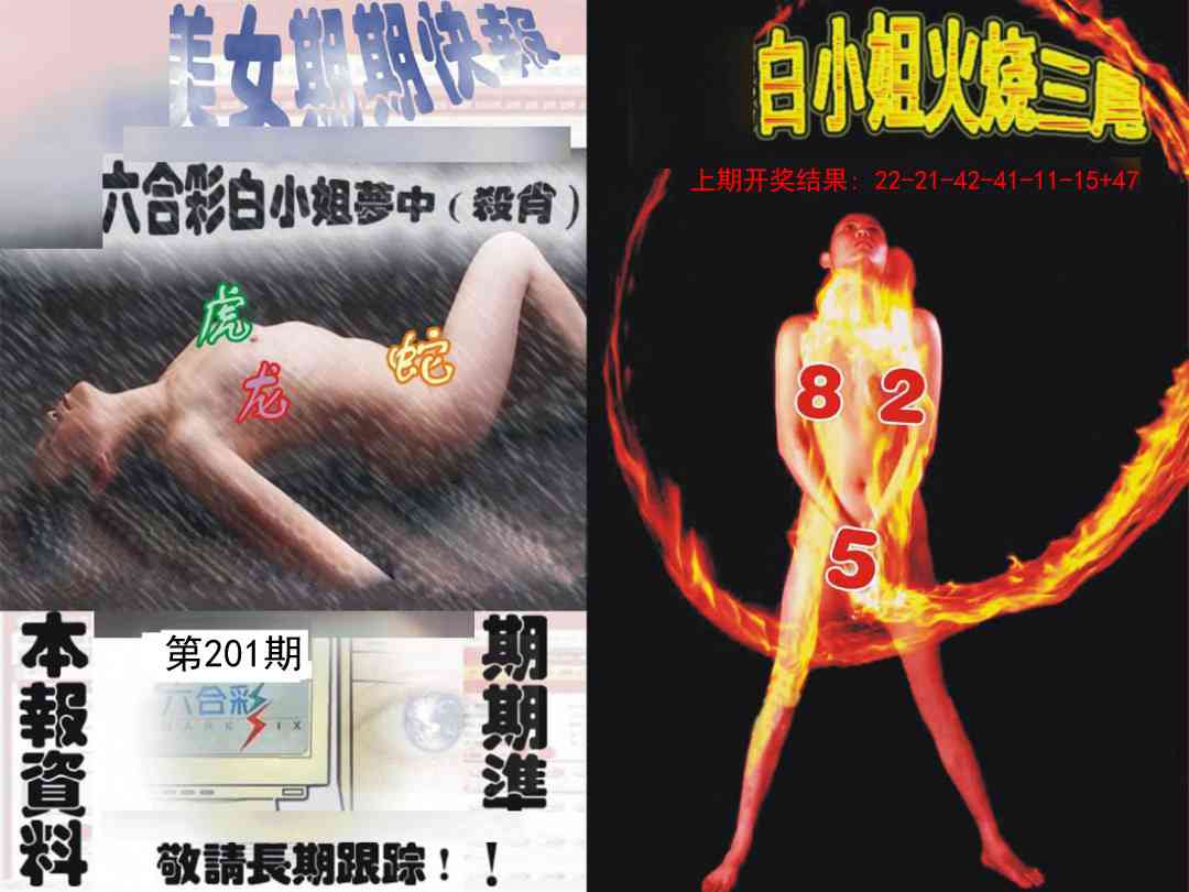 201期环球美女特码报[图]