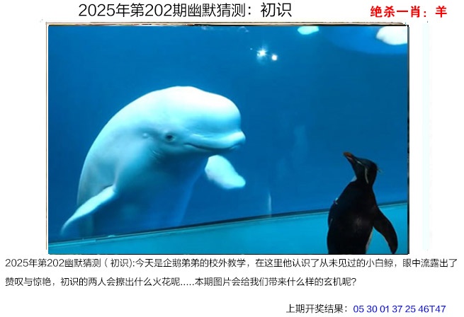 202期幽默猜测[图]