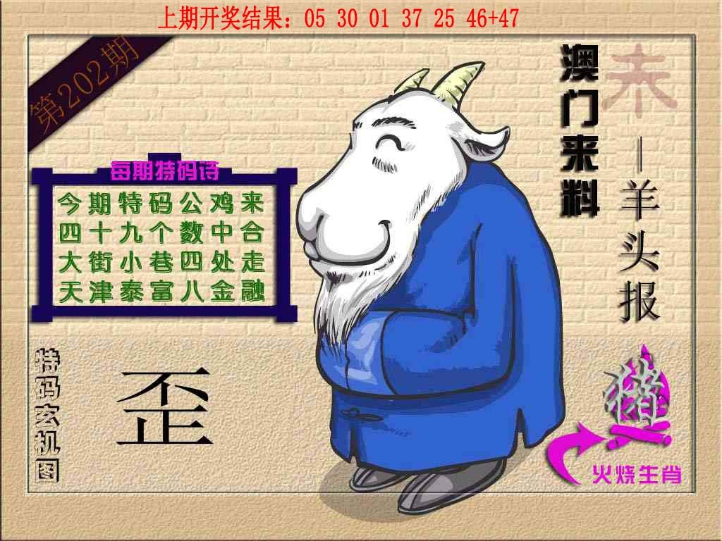 202期(来料)羊报[图]