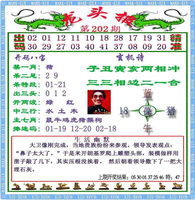 202期龙头报[图]