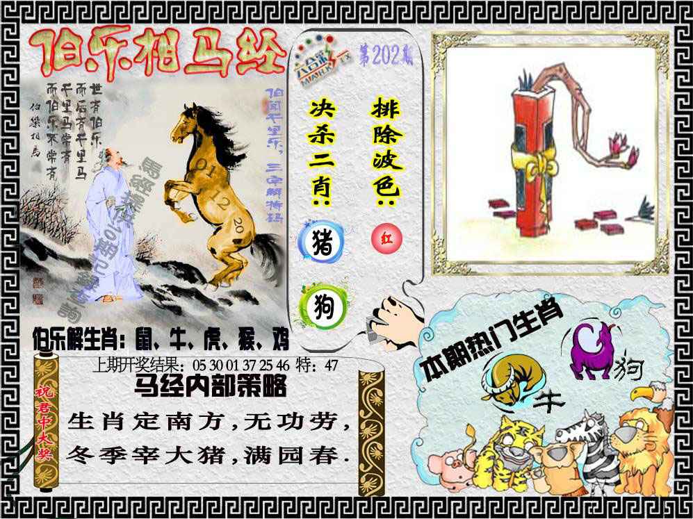 202期伯乐相马经[图]