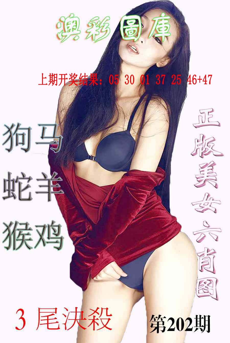 202期美女六肖图-1[图]
