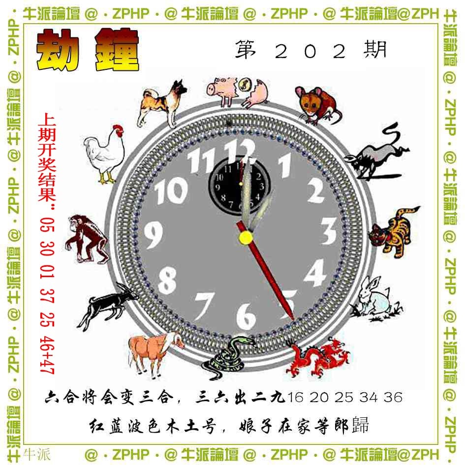 202期牛派系列4[图]