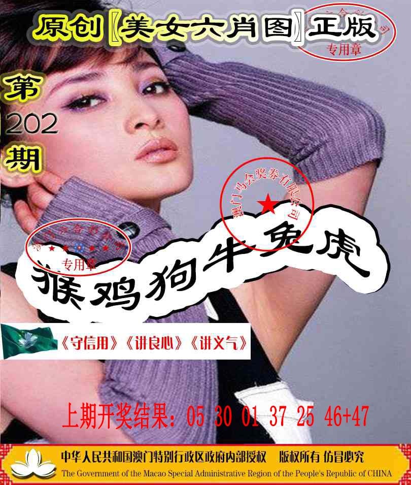 202期另版美女六肖图[图]