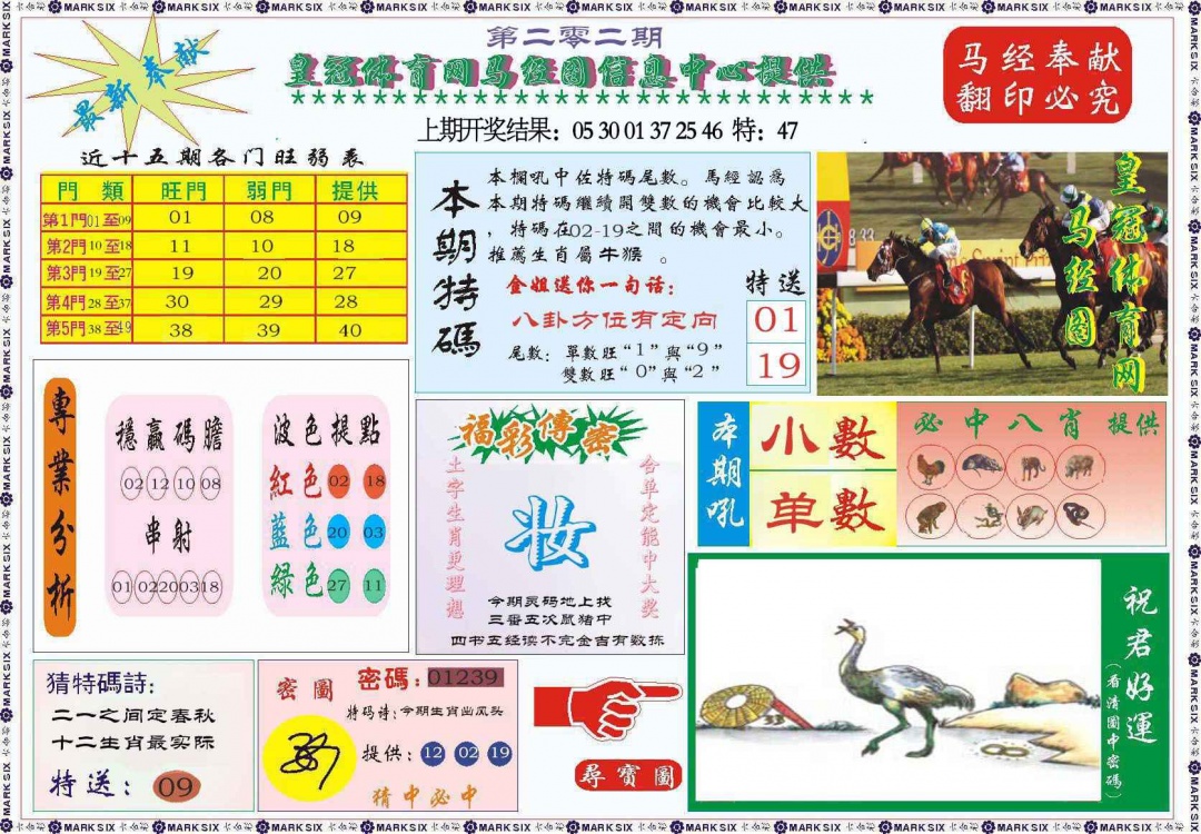 202期体育网马经图[图]